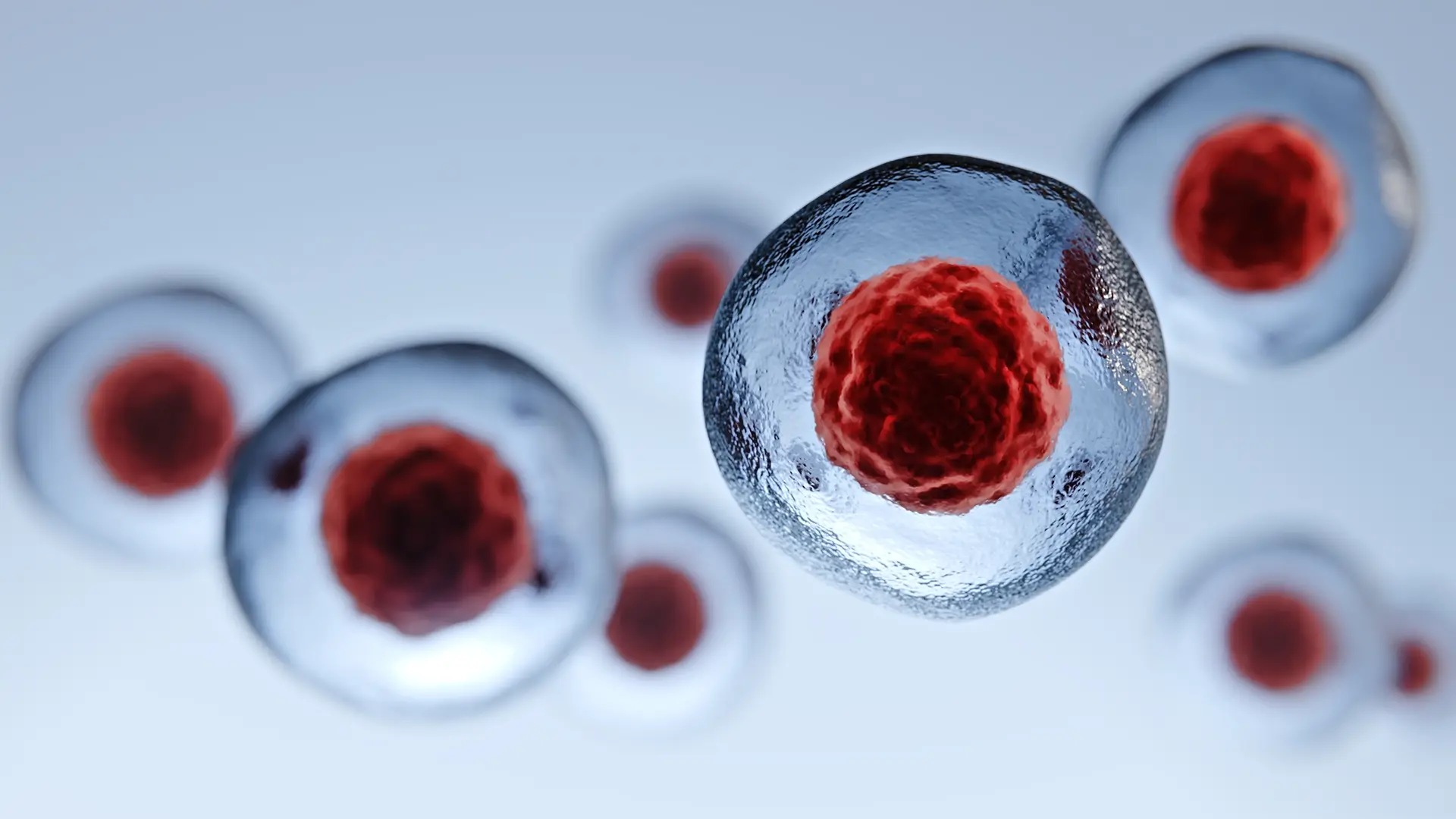 Cellular structures representing complex biologics and targeted modalities in integrated CDMO drug development